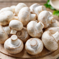 Fresh Mushrooms Supplier