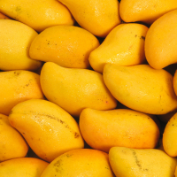 Fresh Mangoes Supplier