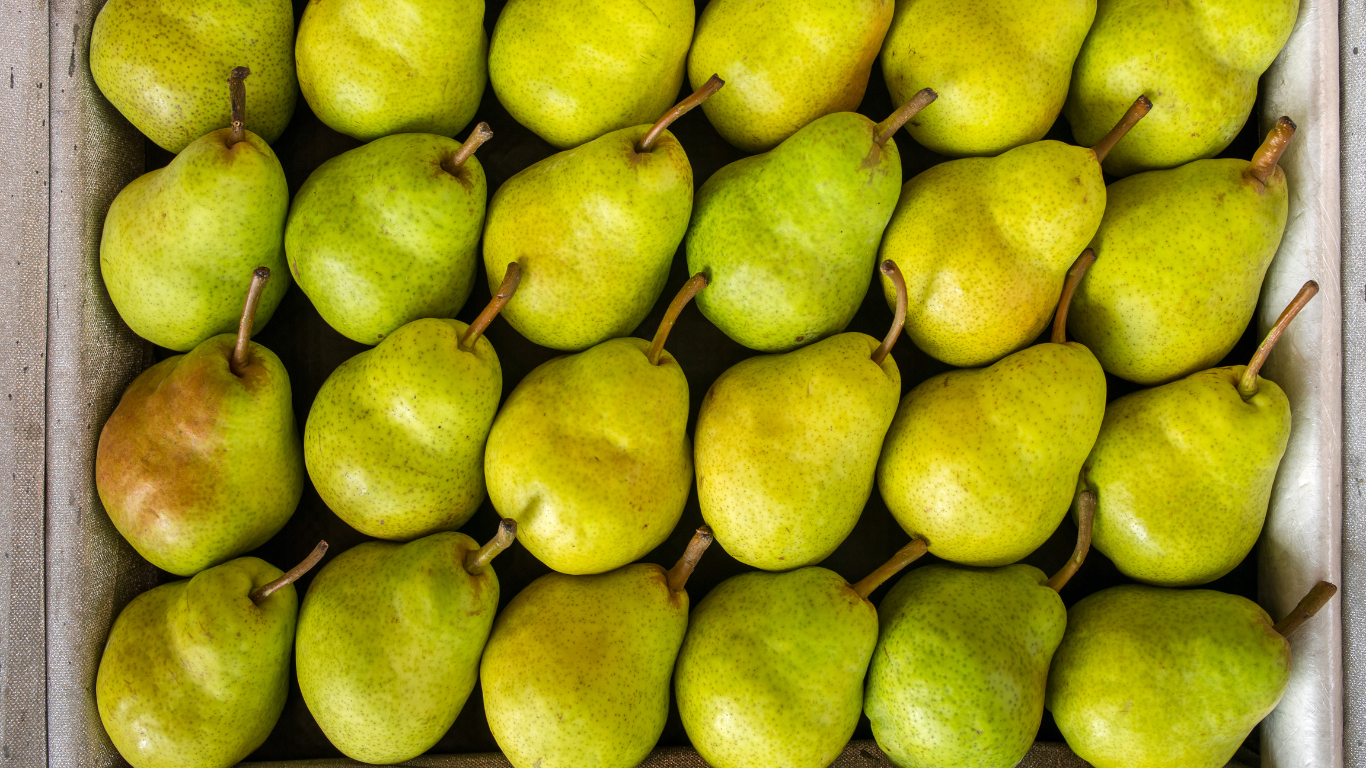 Fresh Pears Supplier