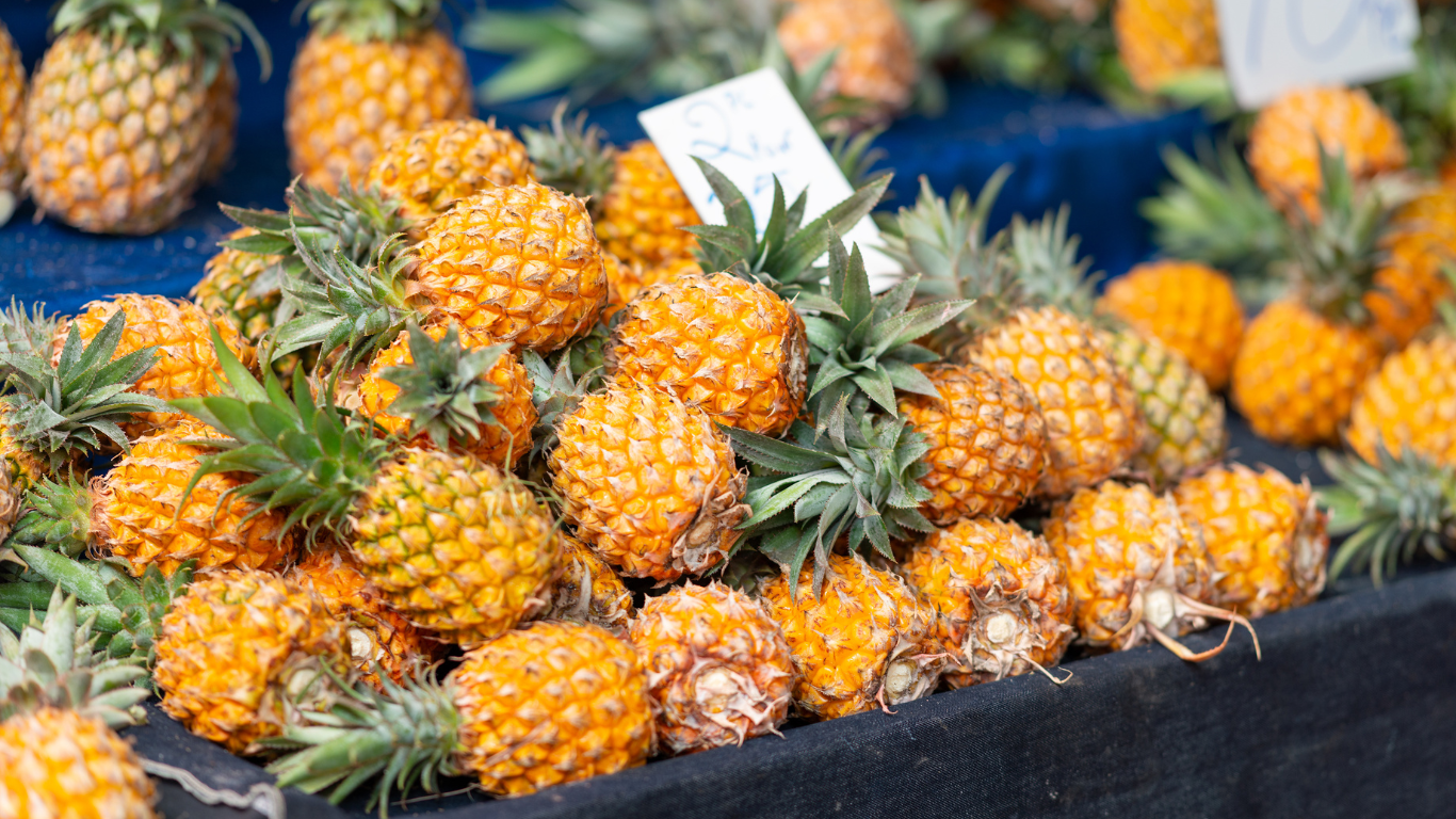 Fresh Pineapples Supplier