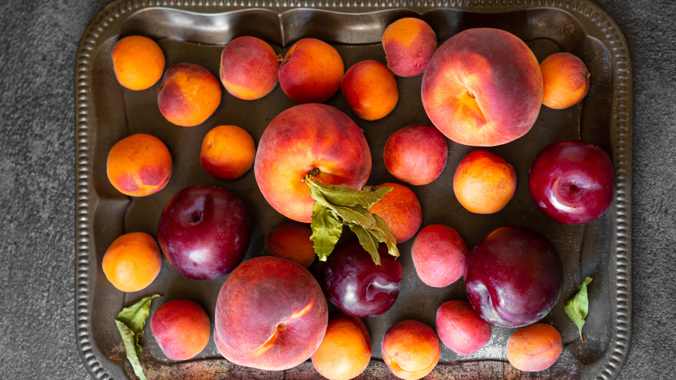Stone Fruits Supplier
