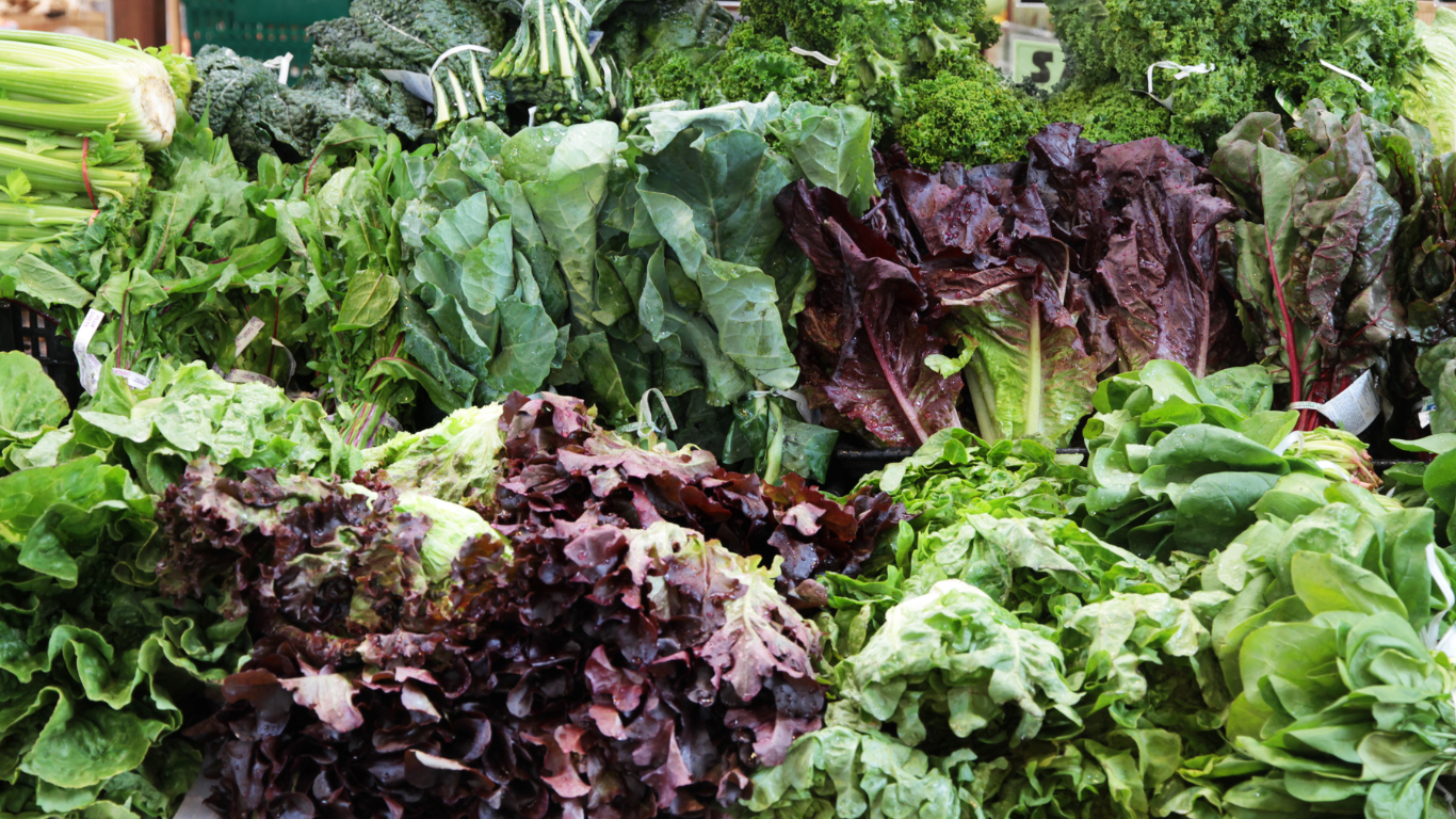 Leafy & Salad Vegetables Supplier