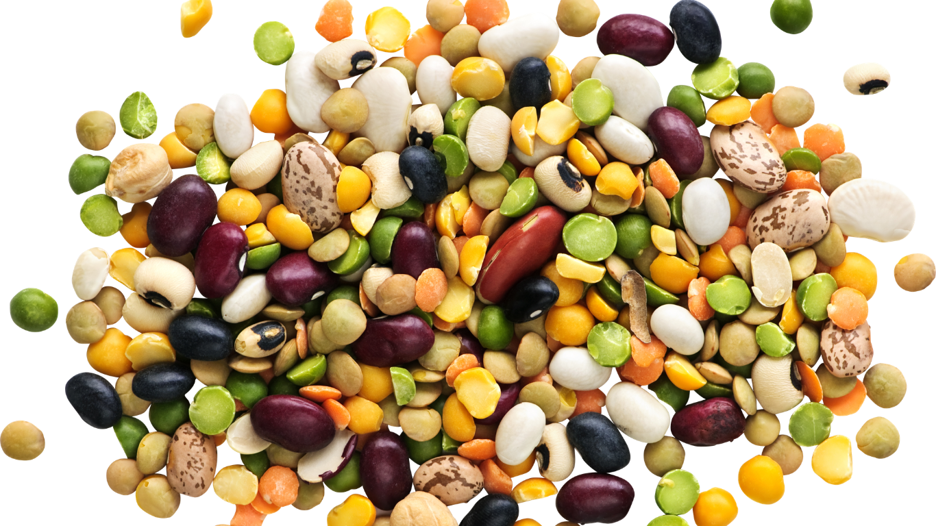 Fresh Peas Supplier