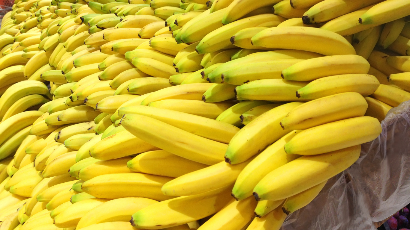 Fresh Bananas Supplier