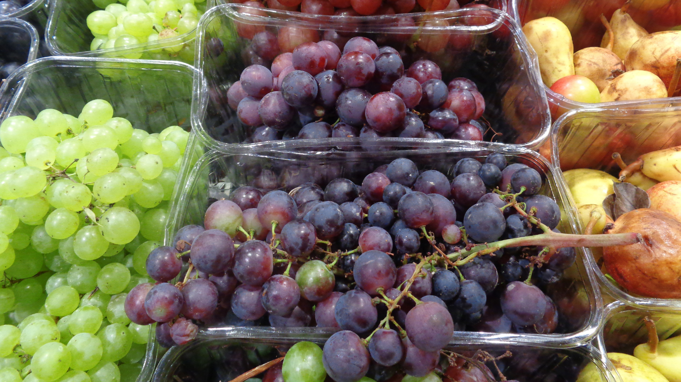 Fresh Grapes Supplier