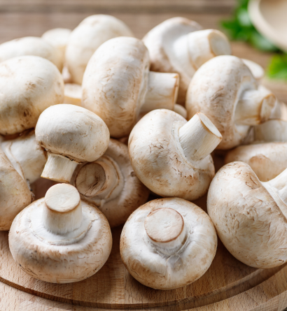 Fresh Mushrooms Supplier