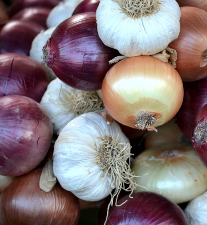 Onions And Garlic Supplier